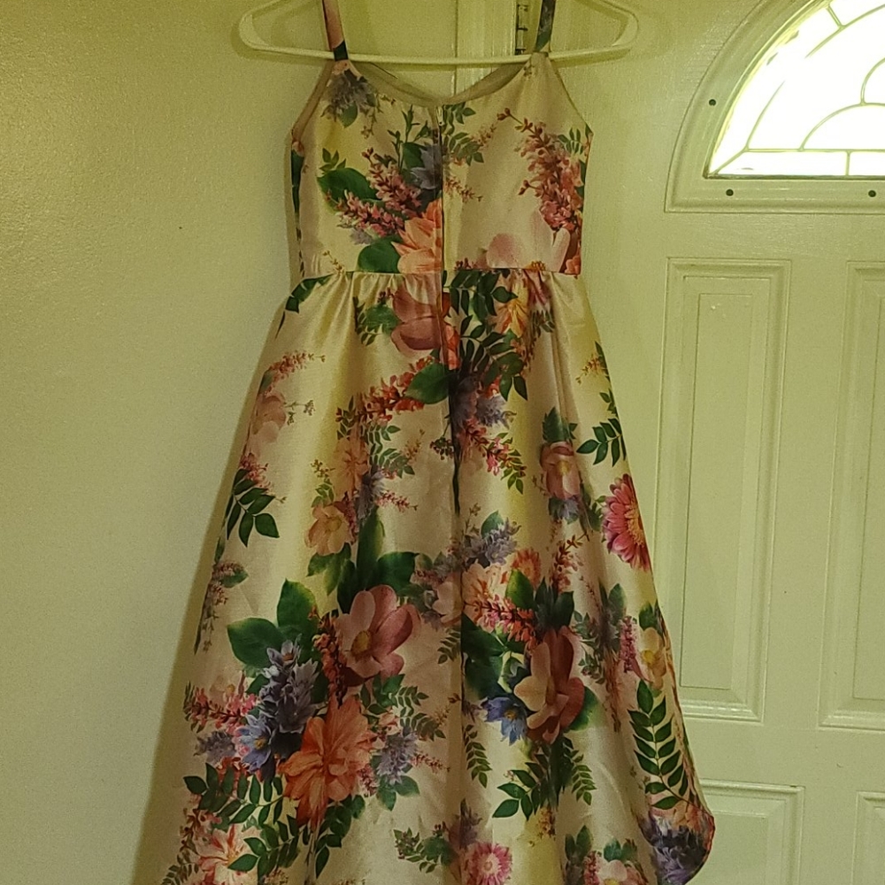 Dress - Picture 5 of 7